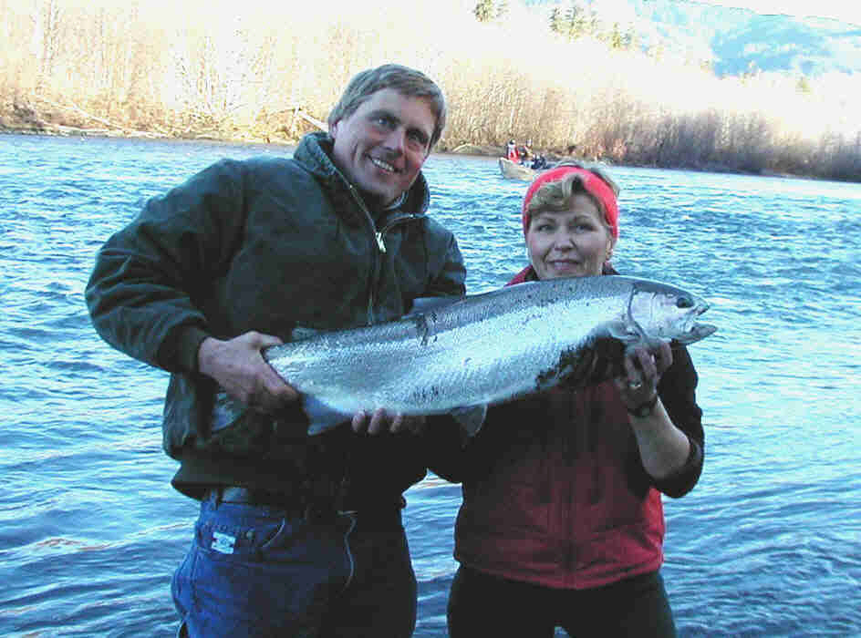 Hoh river "hen" steelhead