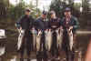 Limits of Hoh river silvers.