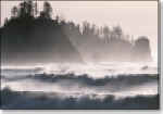 Winter surf pounding the Rialto beach.